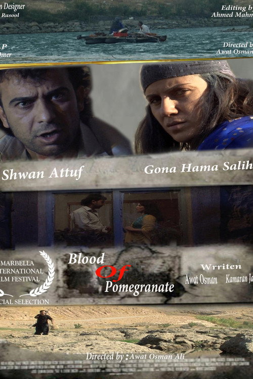Movie poster for Blood of Pomegranate (2011)
