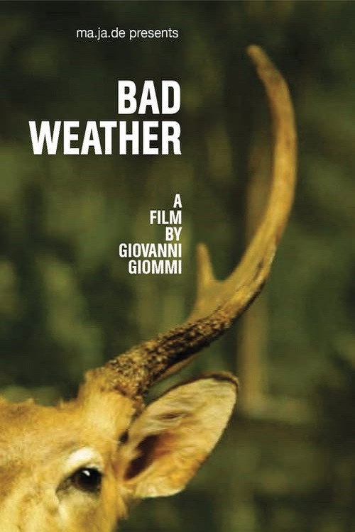 Movie poster for Bad Weather (2011)