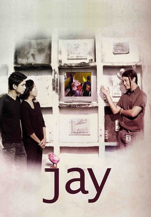 Movie poster for Jay (2008)