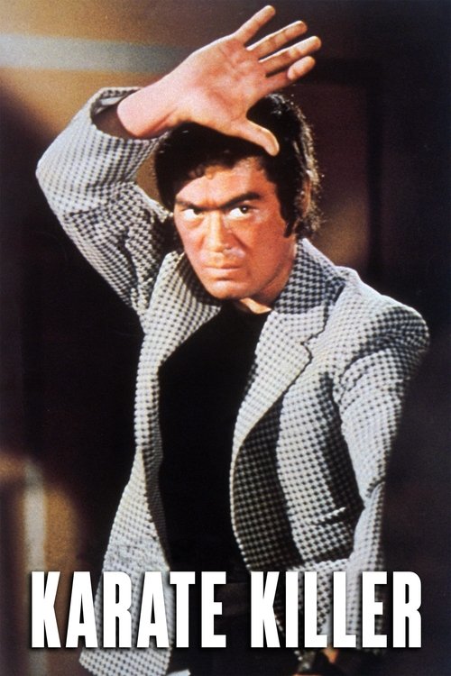 Movie poster for Bodyguard Kiba 2 (1973)