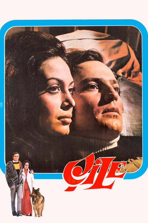 Movie poster for Çile (1972)