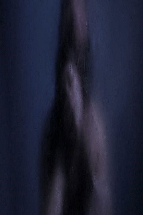 Movie poster for Baisers Nocturnes (2014)