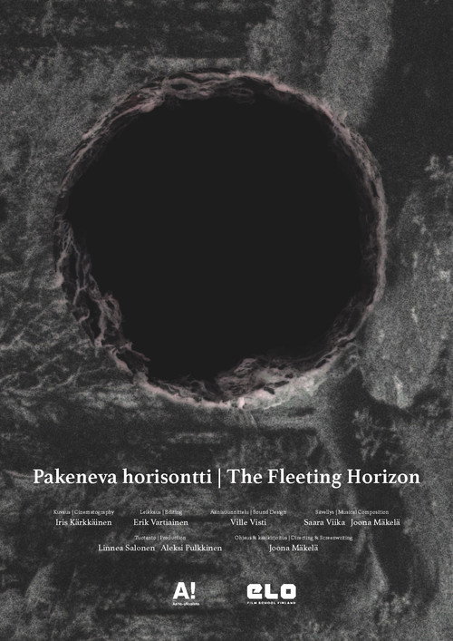 Movie poster for The Fleeting Horizon (2024)