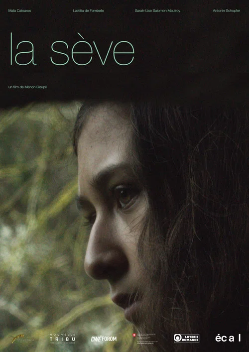 Movie poster for The Sap (2016)