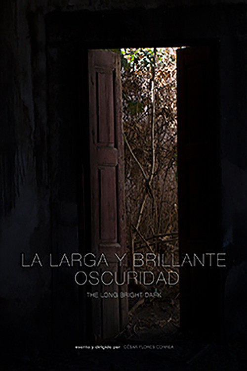 Movie poster for The Long Bright Dark (2017)