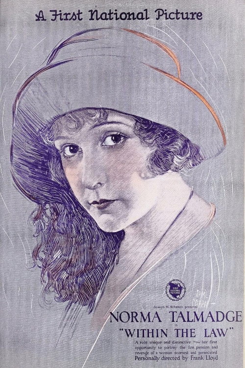 Movie poster for Within the Law (1923)