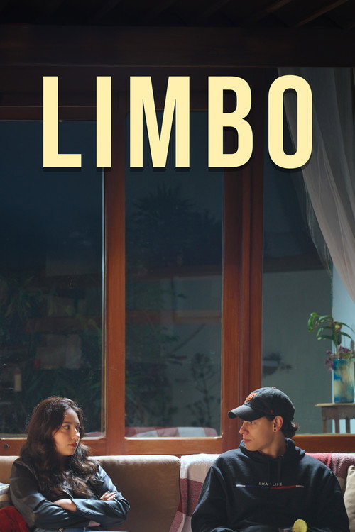 Movie poster for Limbo