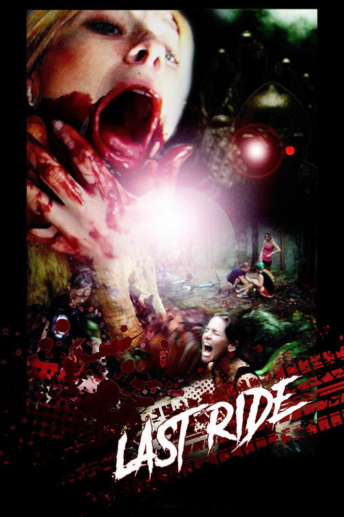 Movie poster for Last Ride (2011)