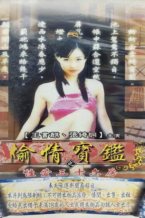 偷情宝鉴之性爱三十六房 poster
