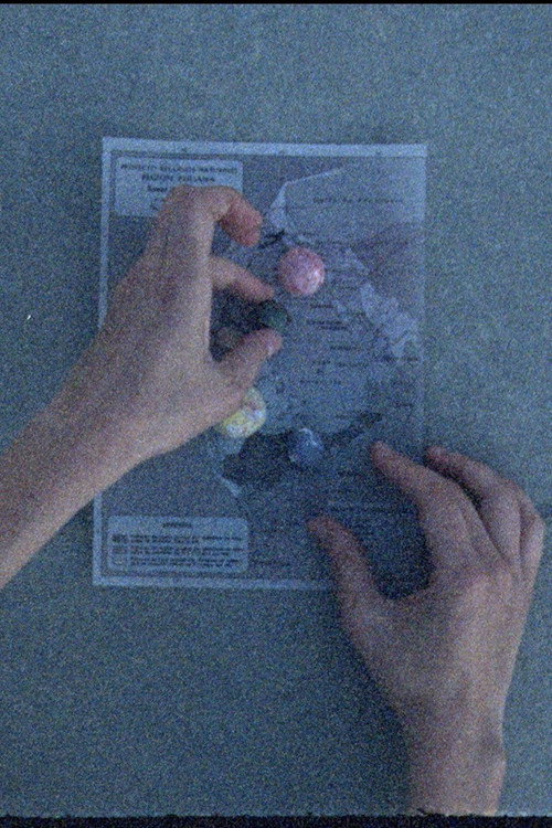 Movie poster for Cruce Postal: Del Otro Nuevo Viaje (2015)