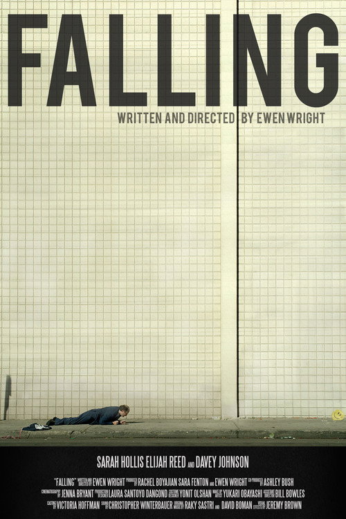 Movie poster for Falling (2018)