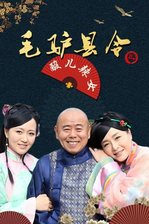 Movie poster for 毛驴县令之酸儿辣女 (2014)