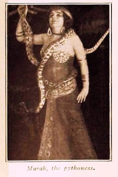 Movie poster for Marah, the Pythoness (1914)