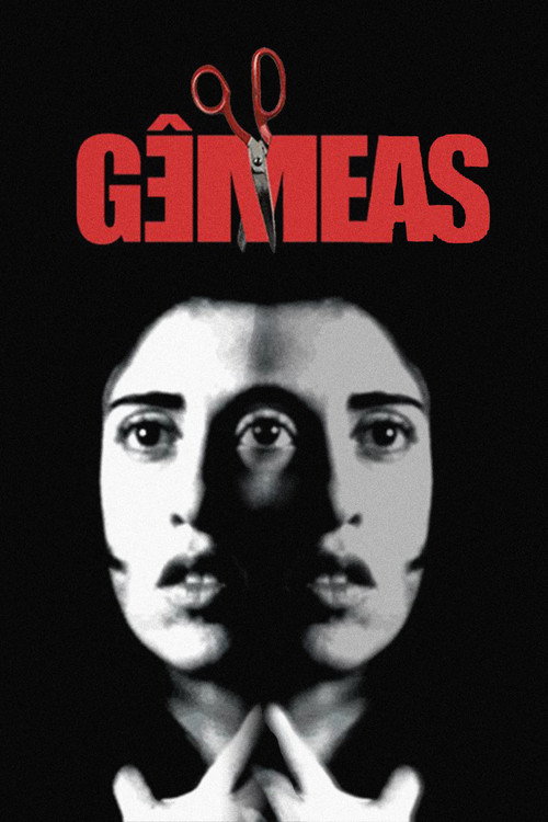 Movie poster for Twins (1999)