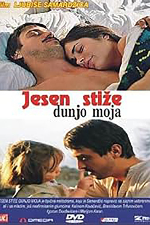 Goose Feather poster