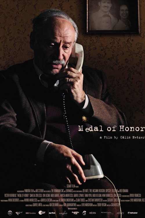 Movie poster for Medal of Honor (2010)
