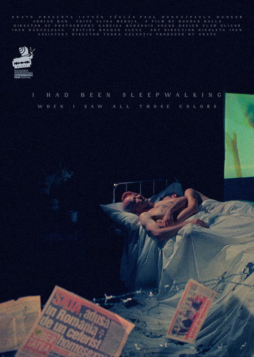 Movie poster for I Had Been Sleepwalking When I Saw All Those Colors (2021)