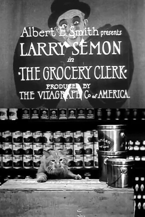 Movie poster for The Grocery Clerk (1919)