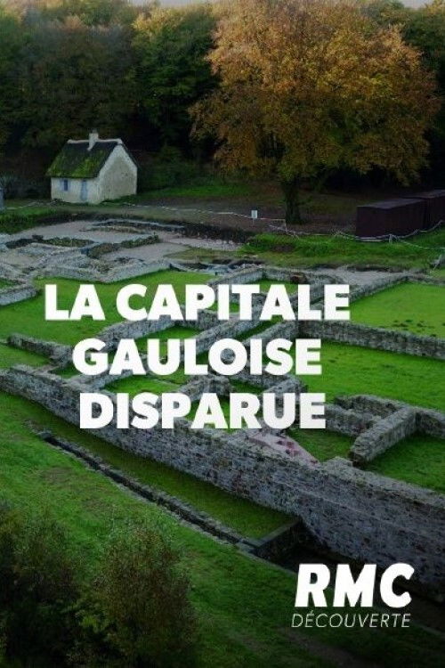 Movie poster for La capitale gauloise disparue (2020)