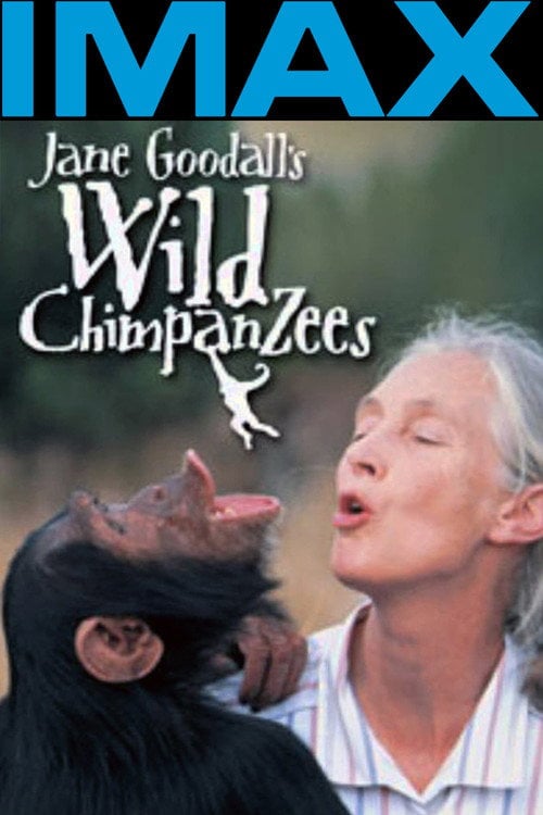 Movie poster for Jane Goodall's Wild Chimpanzees (2002)