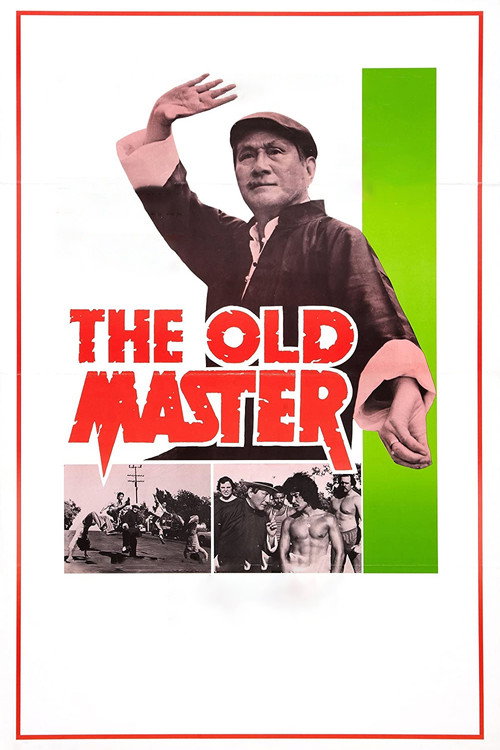 Movie poster for The Old Master (1979)