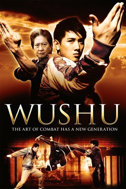 Movie poster for Wushu (2008)