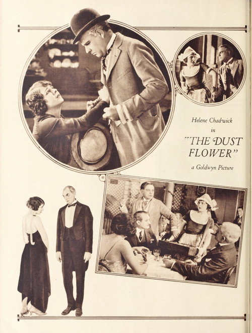 Movie poster for The Dust Flower (1922)