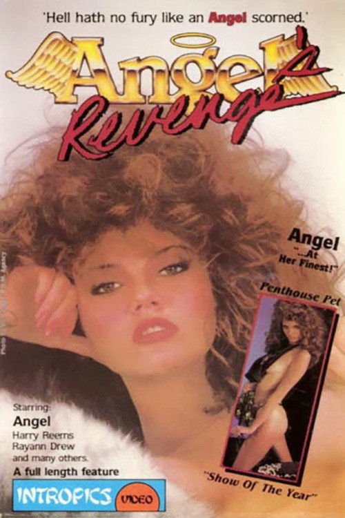 Movie poster for Angel's Revenge (1986)