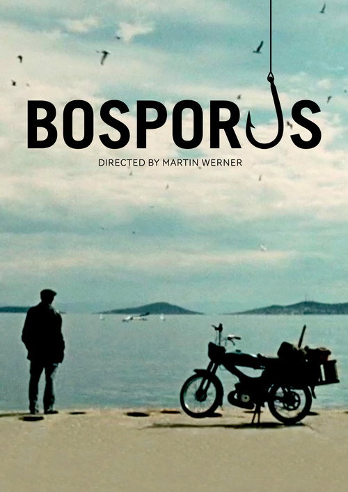 Movie poster for Bosporus (2011)