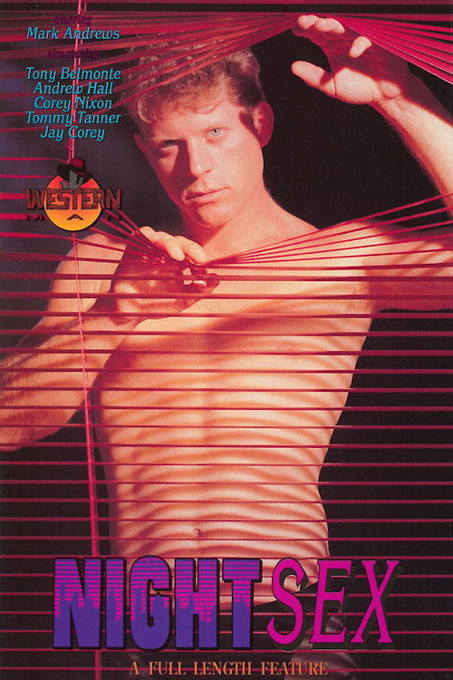 Movie poster for Night Sex: A Private Affair (1993)