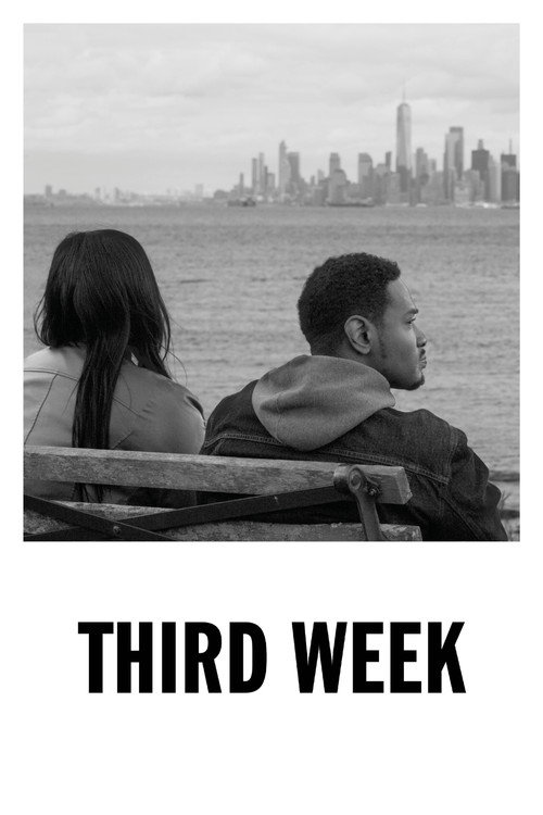Movie poster for Third Week (2024)