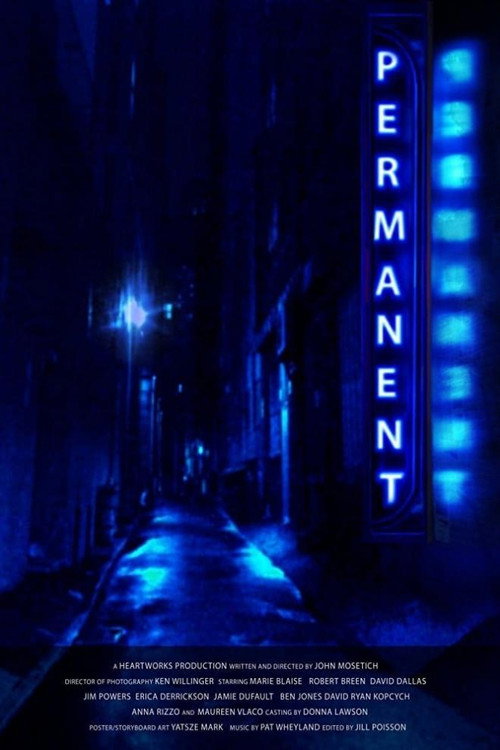 Movie poster for Permanent (2014)