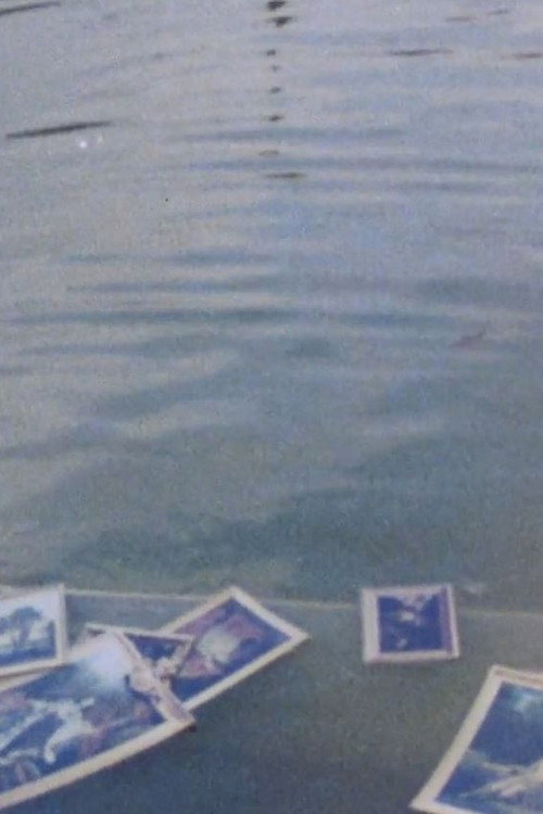 Movie poster for L'Art d'exposer (1982)