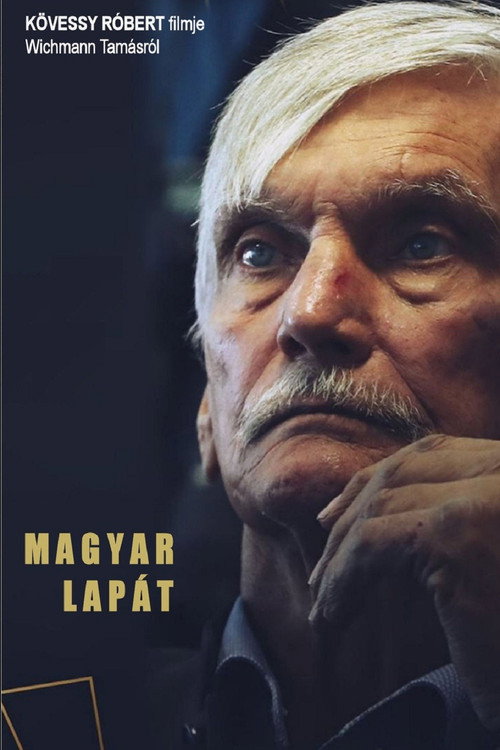 Movie poster for Magyar lapát (2020)
