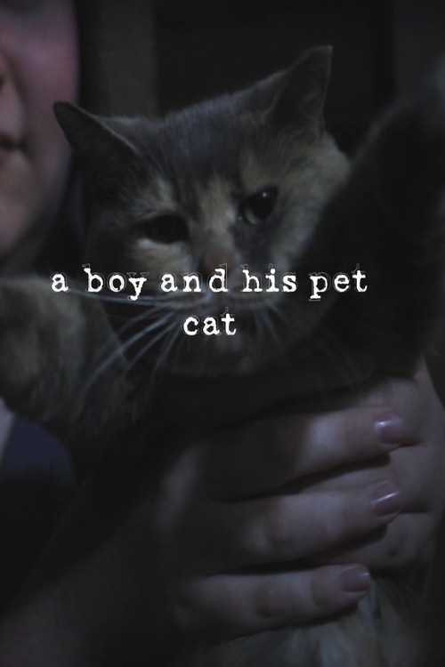 Movie poster for a boy and his pet cat (2019)