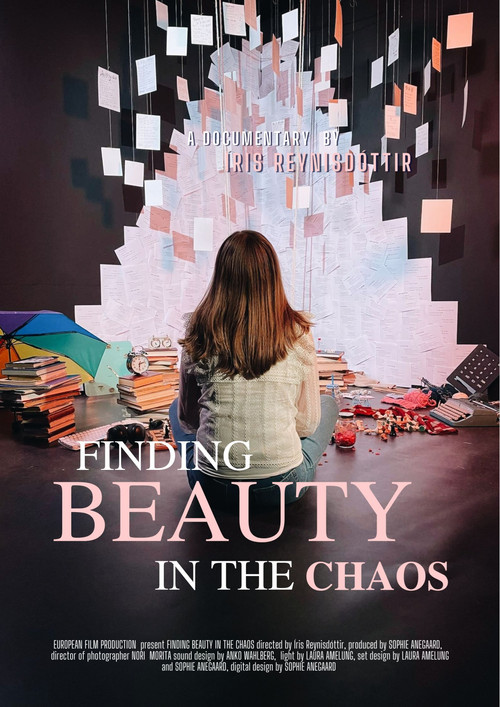Movie poster for Finding Beauty in The Chaos (2022)