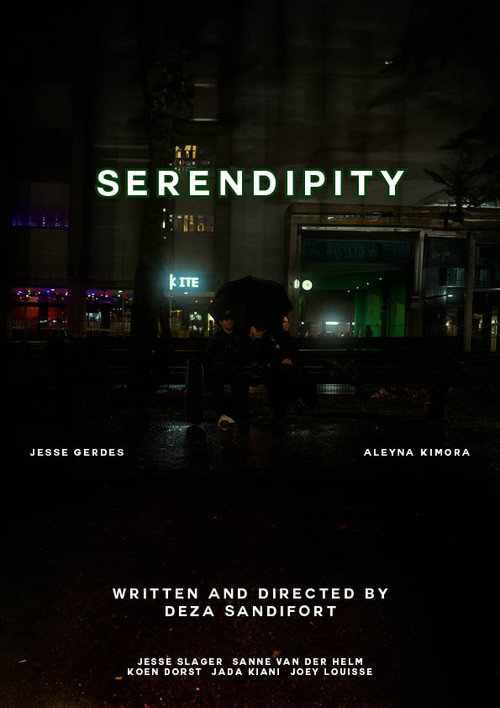 Movie poster for Serendipity (2024)