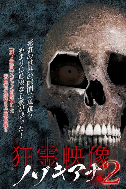 Movie poster for Crazy Spirit Video Nozokiana 2 (2016)