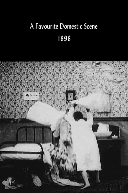 Movie poster for A Favourite Domestic Scene (1898)