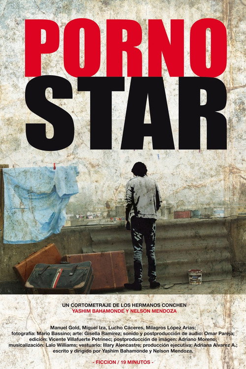 Movie poster for Porno Star (2011)