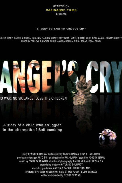 Movie poster for Angel's Cry (2004)