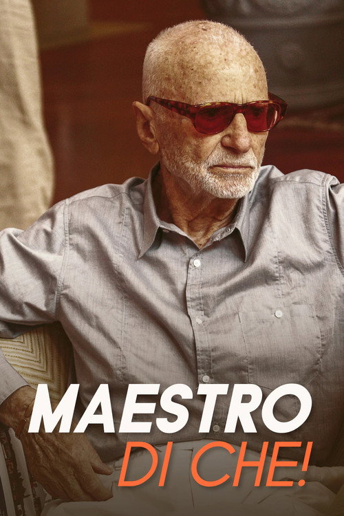 Movie poster for Maestro di che! (2011)