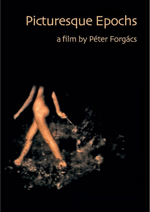 Movie poster for Picturesque Epochs (2018)