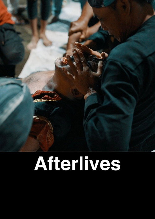 Movie poster for Afterlives (2024)