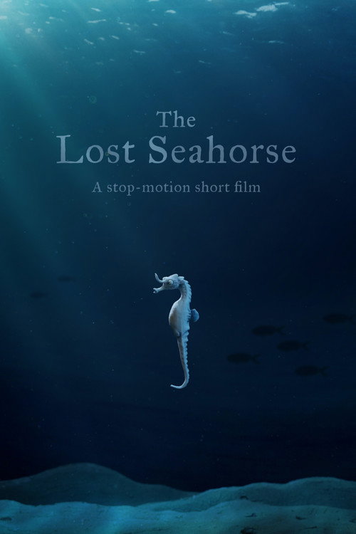 Movie poster for The Lost Seahorse (2021)