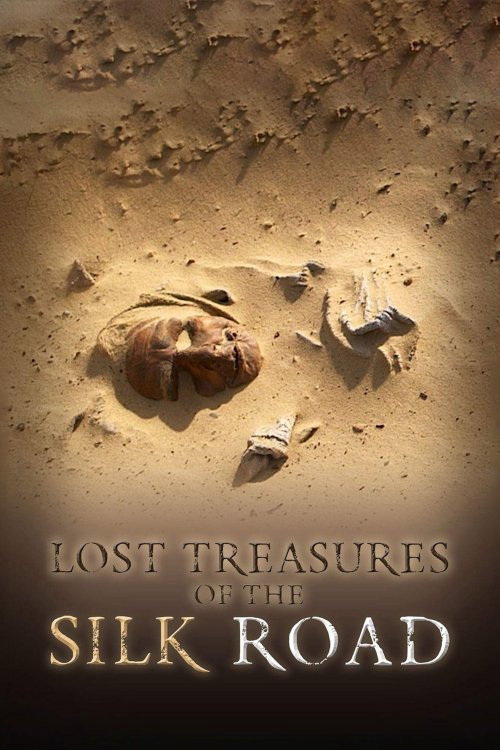 Movie poster for Lost Treasures of the Silk Road (2013)