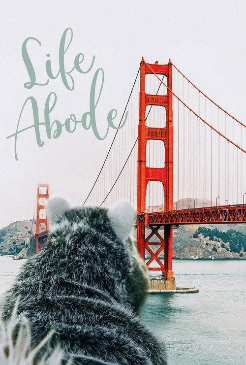 Movie poster for Life Abode (2021)