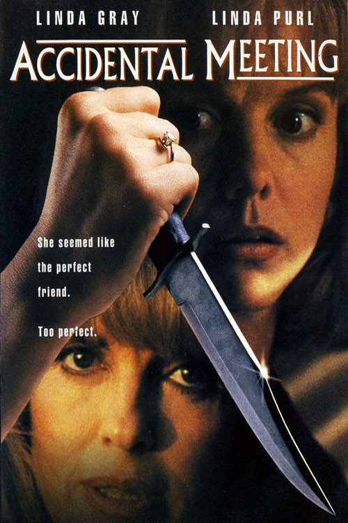 Movie poster for Accidental Meeting (1994)