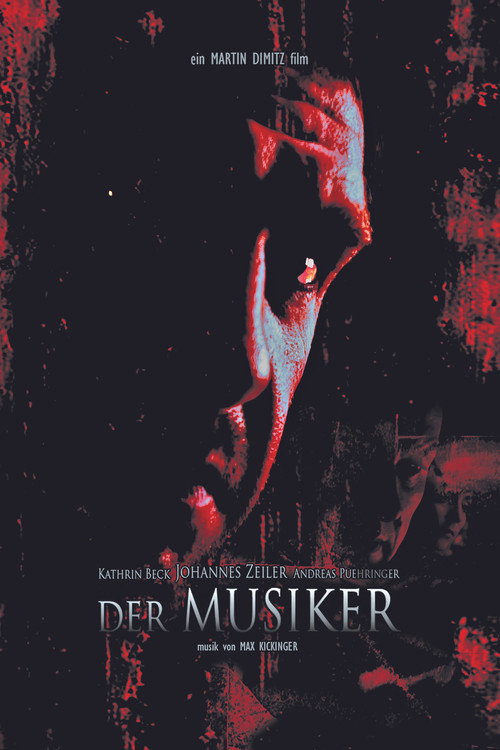 Movie poster for Der Musiker (2007)