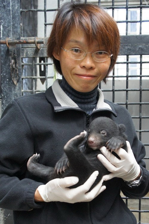 Photo of Mei-Hsiu Hwang, Acting